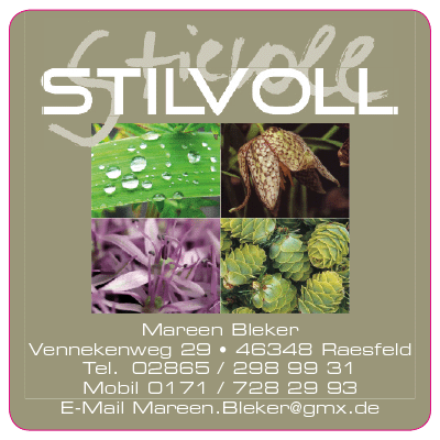 Stilvoll Raesfeld